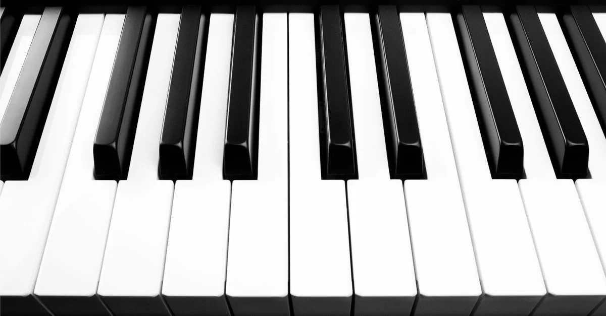 Gros plan minimaliste noir et blanc des touches de piano mettant en avant la forme et le contraste.